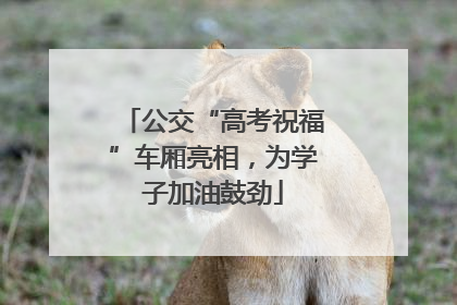 公交“高考祝福”车厢亮相，为学子加油鼓劲