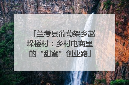 兰考县葡萄架乡赵垛楼村：乡村电商里的“甜蜜”创业路