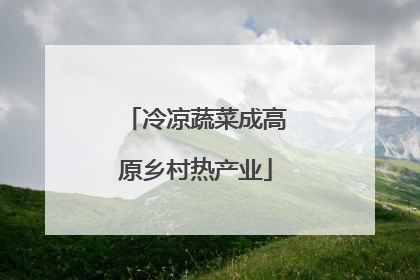 冷凉蔬菜成高原乡村热产业
