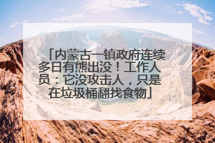 内蒙古一镇政府连续多日有熊出没！工作人员：它没攻击人，只是在垃圾桶翻找食物
