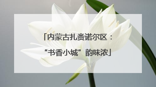 内蒙古扎赉诺尔区：“书香小城”韵味浓