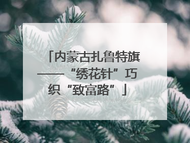 内蒙古扎鲁特旗——“绣花针”巧织“致富路”