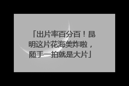 出片率百分百！昆明这片花海美炸啦，随手一拍就是大片