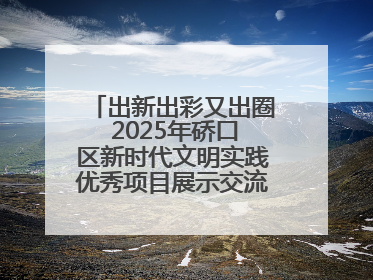 出新出彩又出圈 2025年硚口区新时代文明实践优秀项目展示交流活动举行