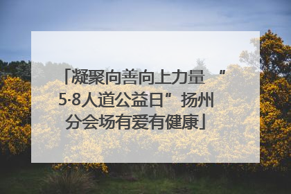凝聚向善向上力量 “5·8人道公益日”扬州分会场有爱有健康