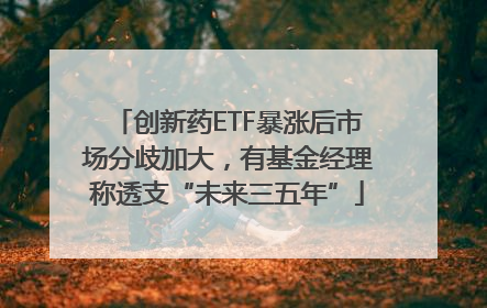 创新药ETF暴涨后市场分歧加大，有基金经理称透支“未来三五年”