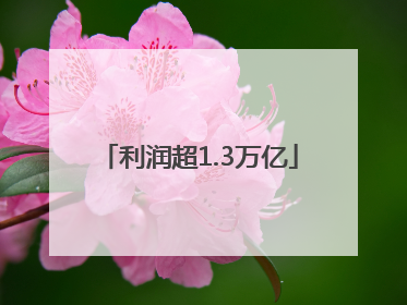 利润超1.3万亿