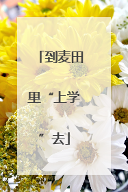 到麦田里“上学”去