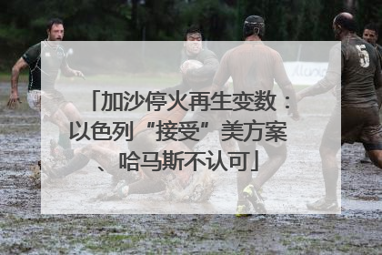 加沙停火再生变数:以色列“接受”美方案、哈马斯不认可