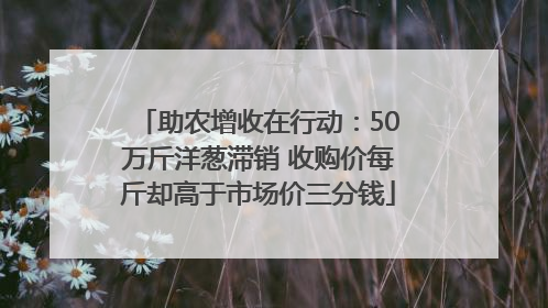 助农增收在行动：50万斤洋葱滞销 收购价每斤却高于市场价三分钱