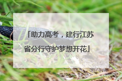 助力高考，建行江苏省分行守护梦想开花