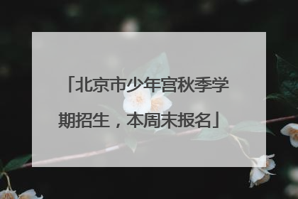北京市少年宫秋季学期招生，本周末报名