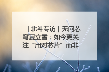 北斗专访｜无问芯穹夏立雪：如今更关注“用对芯片”而非“用贵芯片”