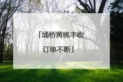 埇桥黄桃丰收 订单不断