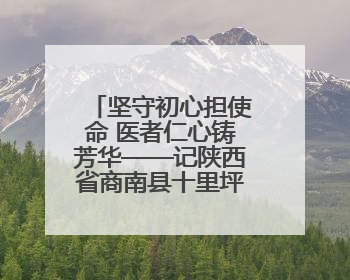坚守初心担使命 医者仁心铸芳华——记陕西省商南县十里坪镇卫生院副院长贾胡委