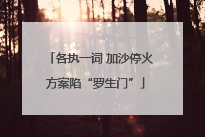 各执一词 加沙停火方案陷“罗生门”