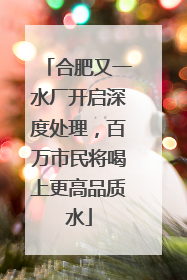 合肥又一水厂开启深度处理，百万市民将喝上更高品质水