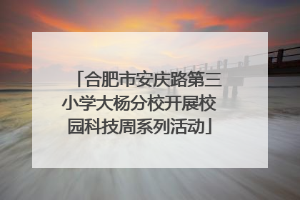 合肥市安庆路第三小学大杨分校开展校园科技周系列活动