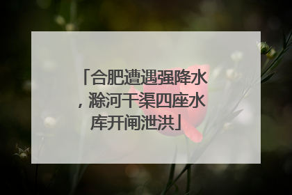 合肥遭遇强降水，滁河干渠四座水库开闸泄洪