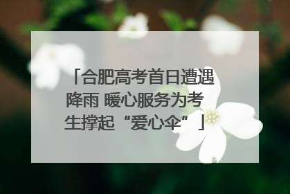 合肥高考首日遭遇降雨 暖心服务为考生撑起“爱心伞”