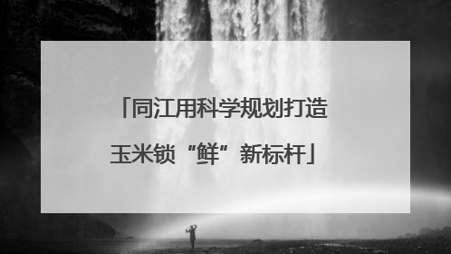 同江用科学规划打造玉米锁“鲜”新标杆