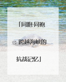 同胞·同袍：跨越海峡的抗战记忆