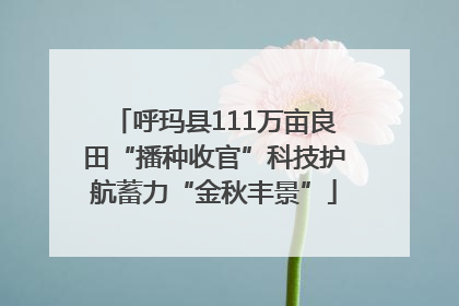 呼玛县111万亩良田“播种收官”科技护航蓄力“金秋丰景”