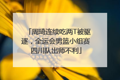 周琦连续吃两T被驱逐，全运会男篮小组赛四川队出师不利