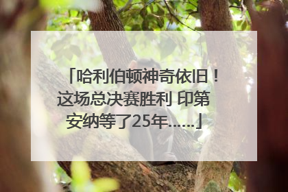 哈利伯顿神奇依旧！这场总决赛胜利 印第安纳等了25年……