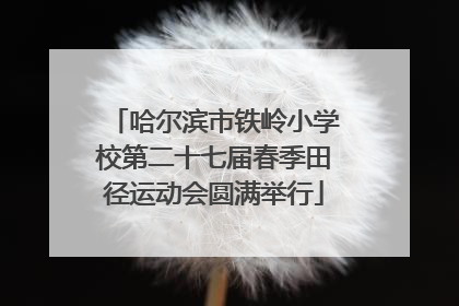 哈尔滨市铁岭小学校第二十七届春季田径运动会圆满举行