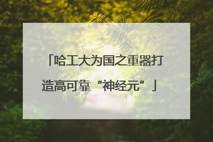 哈工大为国之重器打造高可靠“神经元”