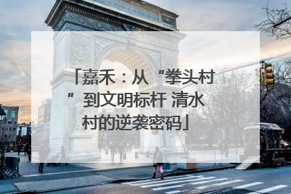 嘉禾：从“拳头村”到文明标杆 清水村的逆袭密码