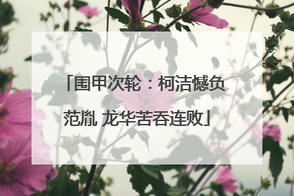 围甲次轮：柯洁憾负范胤 龙华苦吞连败