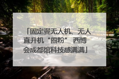 固定翼无人机、无人直升机“圈粉” 西博会成都馆科技感满满