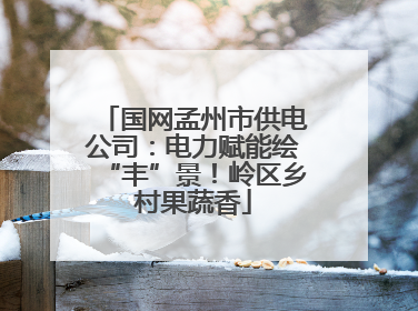 国网孟州市供电公司：电力赋能绘“丰”景！岭区乡村果蔬香