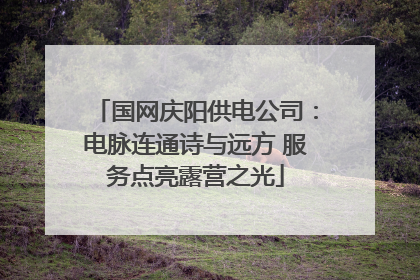 国网庆阳供电公司：电脉连通诗与远方 服务点亮露营之光
