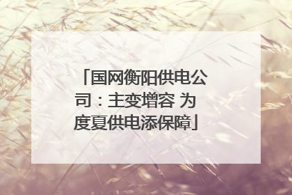 国网衡阳供电公司：主变增容 为度夏供电添保障