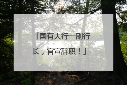 国有大行一副行长，官宣辞职！