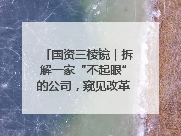 国资三棱镜｜拆解一家“不起眼”的公司，窥见改革中的山东国企