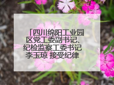 四川绵阳工业园区党工委副书记、纪检监察工委书记李玉琼 接受纪律审查和监察调查