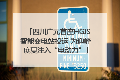 四川广元首座HGIS智能变电站投运 为迎峰度夏注入“电动力”
