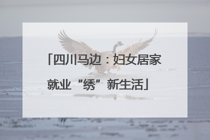 四川马边：妇女居家就业“绣”新生活
