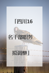 四川16名干部职务拟调整
