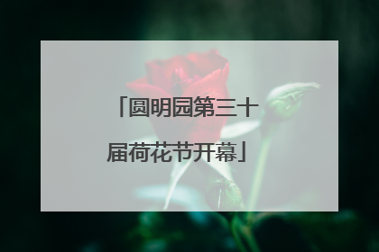 圆明园第三十届荷花节开幕