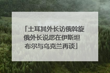 土耳其外长访俄斡旋 俄外长说愿在伊斯坦布尔与乌克兰再谈