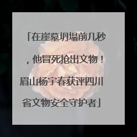 在崖墓坍塌前几秒，他冒死抢出文物！眉山杨宇春获评四川省文物安全守护者
