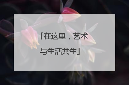 在这里，艺术与生活共生