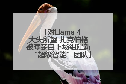 对Llama 4大失所望 扎克伯格被曝亲自下场组建新“超级智能”团队