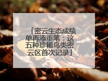 密云生态成绩单再添重笔：这五种珍稀鸟类密云区首次记录
