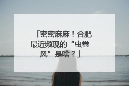 密密麻麻！合肥最近频现的“虫卷风”是啥？